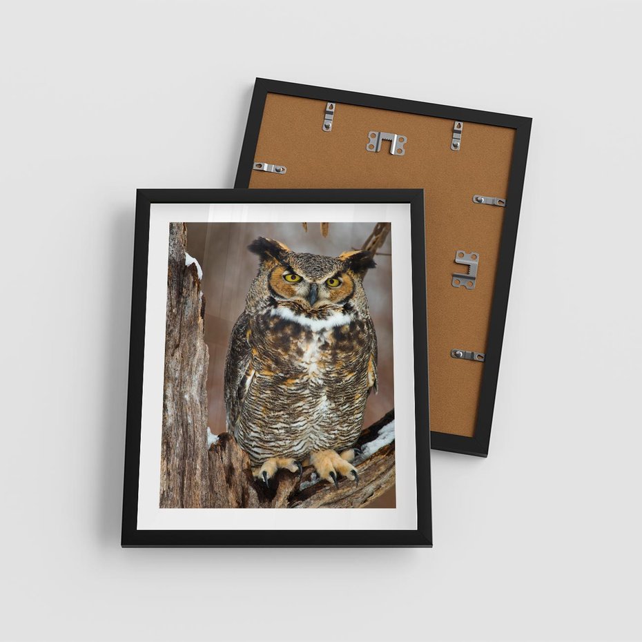 Plakat w ramie 40x50 - Tajemniczy Stróż - sowa, las - rama czarna