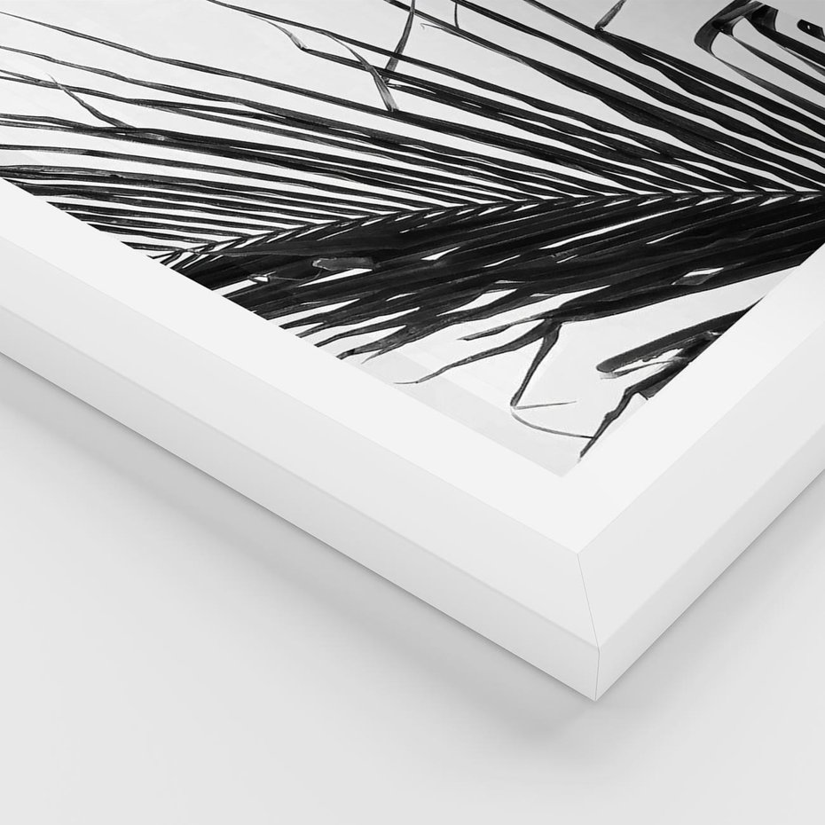 Plakat w ramie 30x40 - Sztuka Natury: Monochromatyczna Palma - palma, czarno białe zdjęcie - rama biała