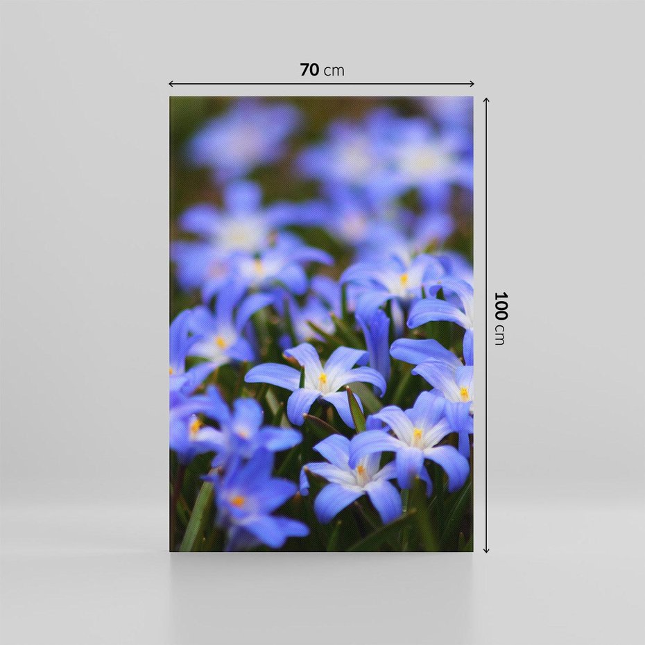 Obraz na płótnie 70x100 - Kwiatowy raj w naturze - kwiat, kwiaty