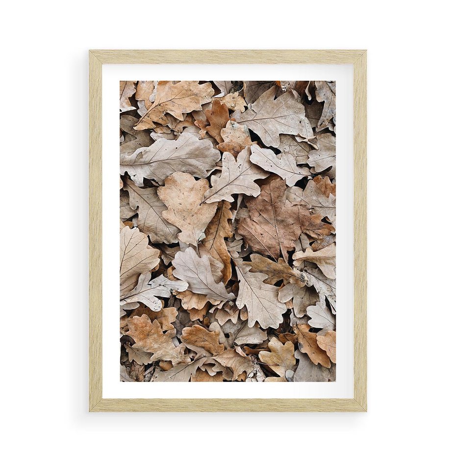 Plakat w ramie 50x70 - Nostalgiczny Pejzaż - suche liście, jesień - rama drewno