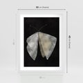 Plakat w ramie 30x40 - Obce Powidoki - abstrakcyjna ćma, mroczna atmosfera - rama biała