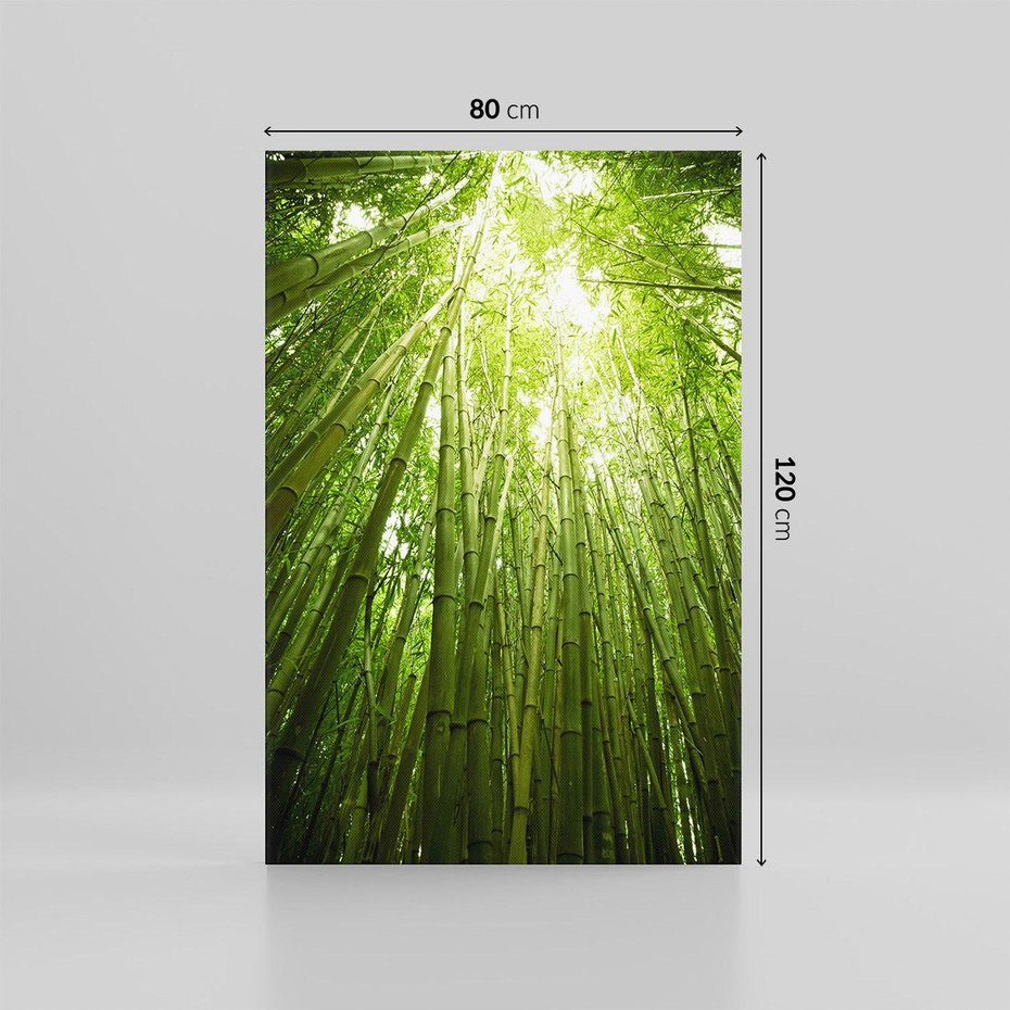 Obraz na płótnie 80x120 - Siła Natury - drzewa, las