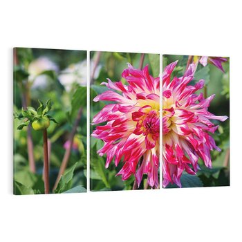 Obraz na płótnie 120x80 - Kwiatowe impresje natury - kwiat, kwiaty