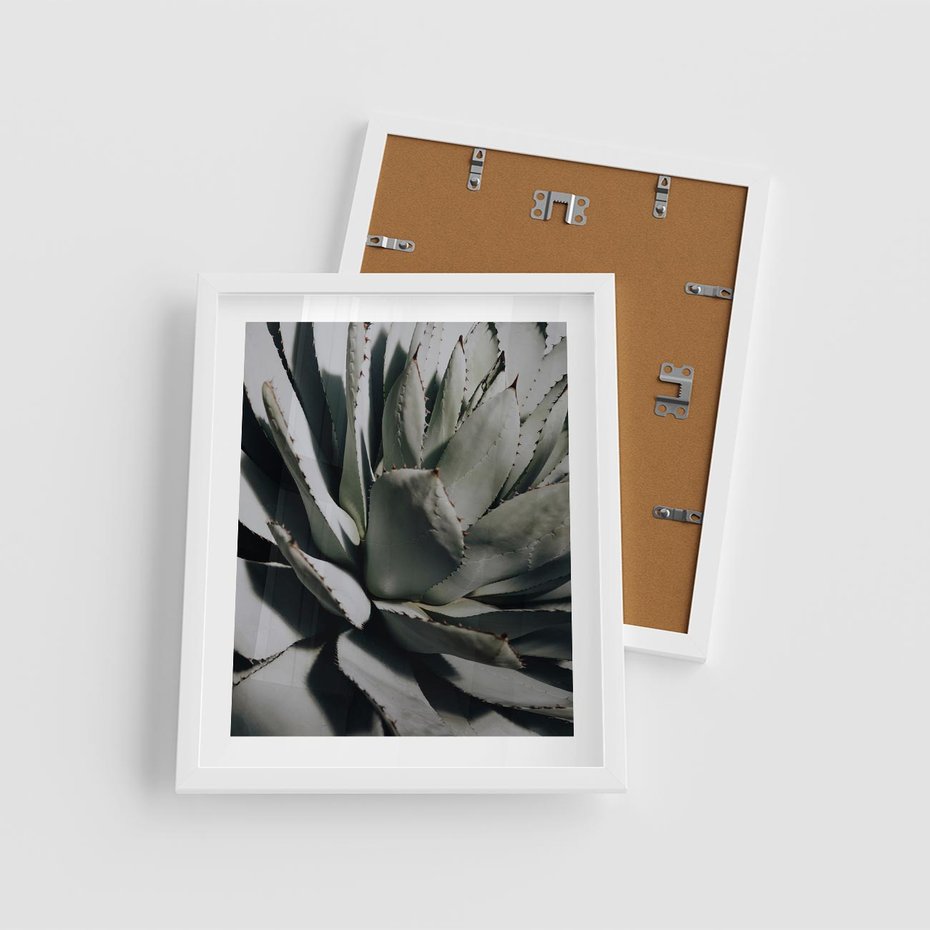 Plakat w ramie 40x50 - Egzotyczny Raj - sukulenty, kaktusy - rama biała