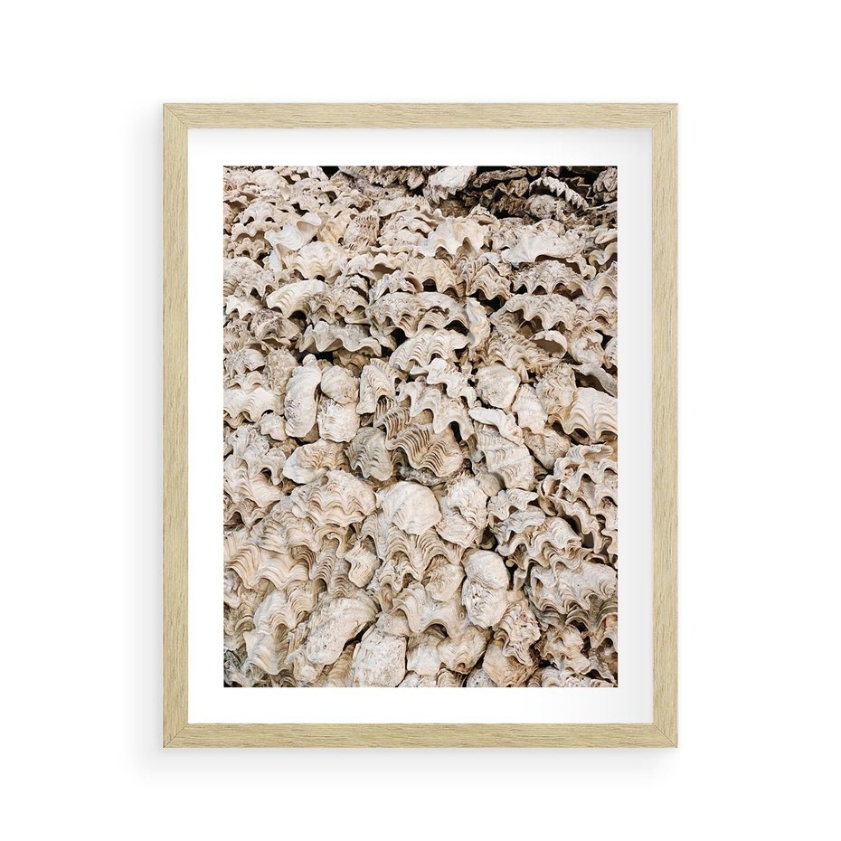 Plakat w ramie 40x50 - Symfonia Natury - kompozycja z białych muszli - rama drewno