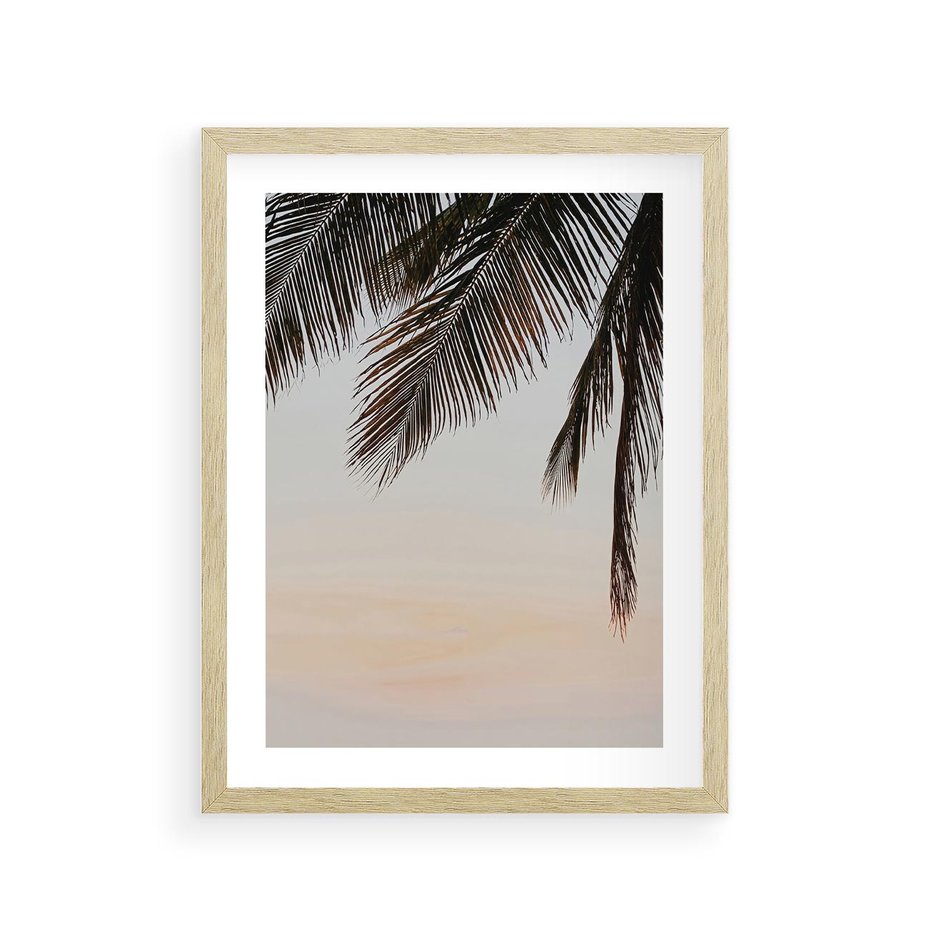 Plakat w ramie 30x40 - Tropikalna Harmonia - palmy na tle nieba - rama drewno
