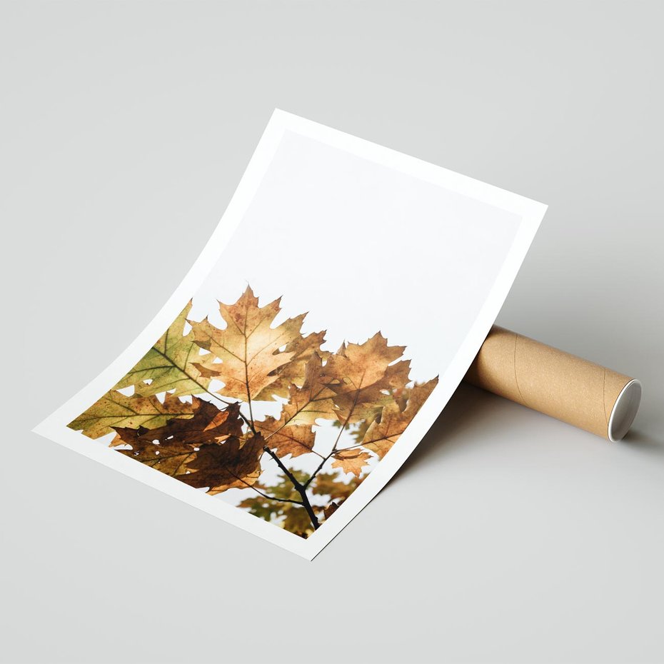 Plakat bez ramy 40x50 - Suche Żółte Liście w Malowniczym Ujęciu - liście, żółte