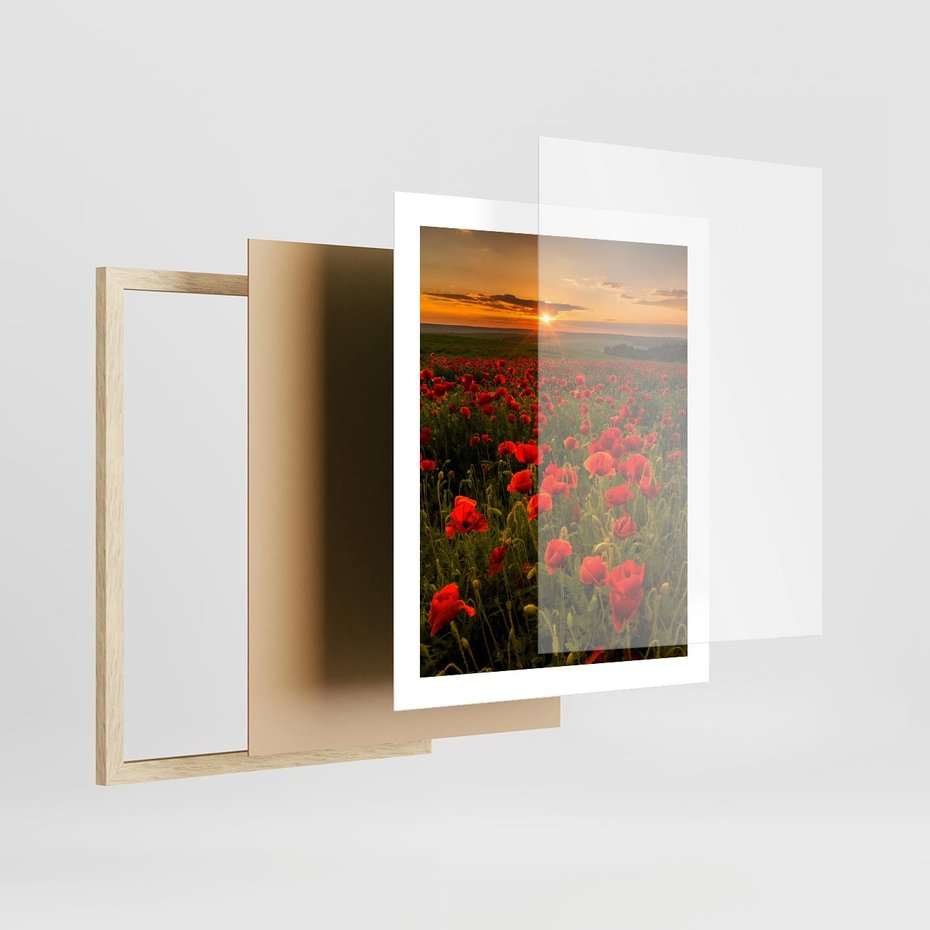 Plakat w ramie 40x50 - Maki przy zachodzie słońca - maki, zachód - rama drewno