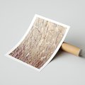 Plakat bez ramy 40x50 - Suche Trawy w Wyjątkowym Stylu - suche trawy, boho styl