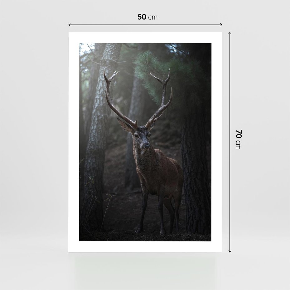 Plakat bez ramy 50x70 - Jeleń wśród lasu - jeleń, las