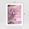 Plakat bez ramy 30x40 - Majestat lawendy: fioletowe pola - lawenda, fiolet