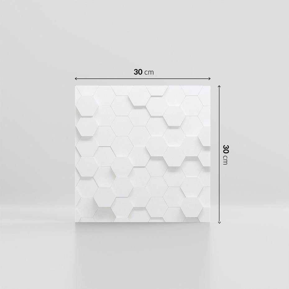 Obraz na płótnie 30x30 - Intrygujący Wymiar - geometria, 3D