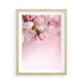 Plakat w ramie 50x70 - Kwitnąca wiśnia: delikatność natury - kwitnąca, wiśnia - rama drewno