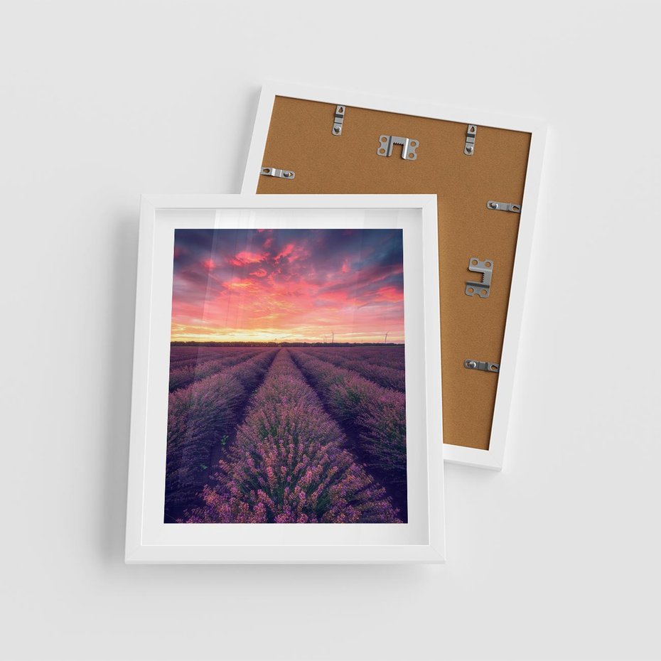 Plakat w ramie 40x50 - Różowe Niebo nad Polami - pola lawendy, zachód słońca - rama biała