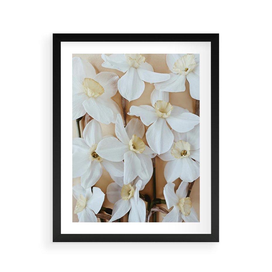 Plakat w ramie 40x50 - Białe Narcyzy - narcyzy, kwiaty - rama czarna