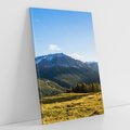 Obraz na płótnie 80x120 - Górski pejzaż: łąka i szczyty - góry, łąka