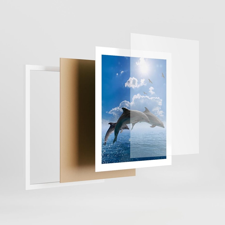 Plakat w ramie 40x50 - Spotkanie z naturą - morze, delfiny - rama biała