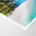 Plakat bez ramy 30x40 - Zaklęte palmy tropików - palmy, ocean