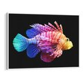 Obraz w ramie 100x70 - Tęczowa Piękność - kolorowa tęczowa ryba, mocny akcent na czarnym tle - rama biała