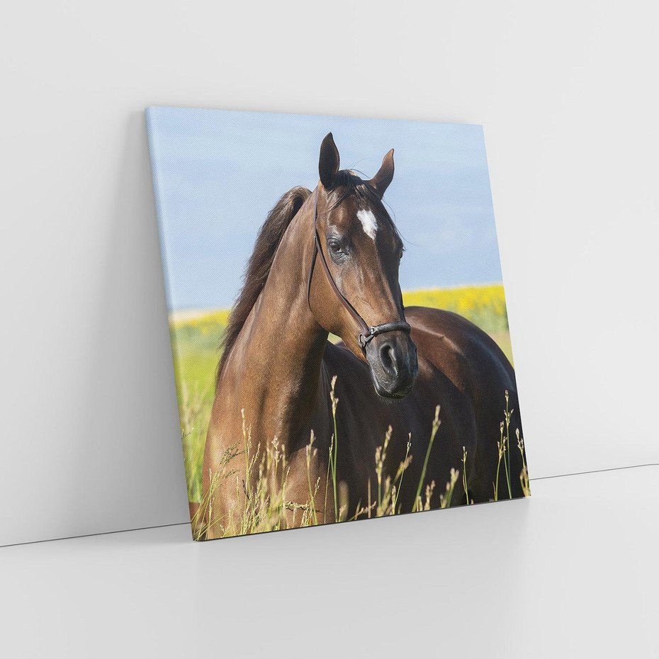 Obraz na płótnie 50x50 - Siła i piękno natury - koń, łąka