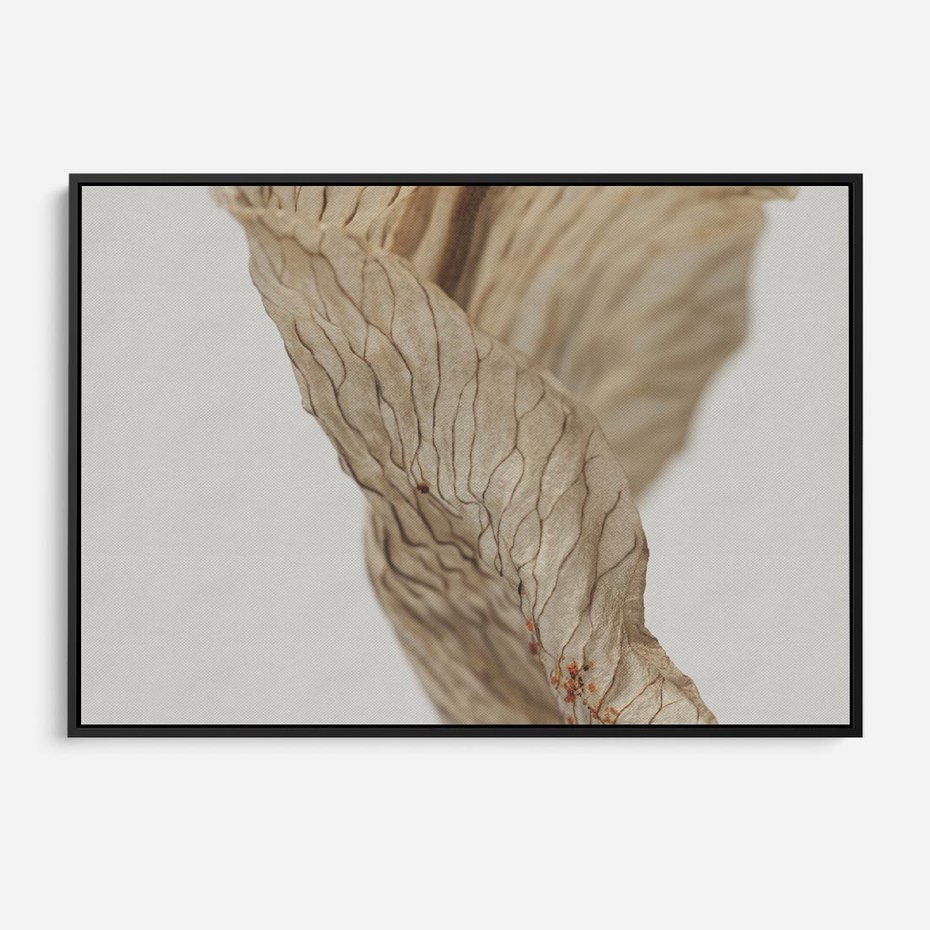 Obraz w ramie 100x70 - Suszone piękno - susz, suche - rama czarna