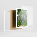 Plakat w ramie 40x50 - Bajkowy las pełen brzóz - las, brzozy - rama biała