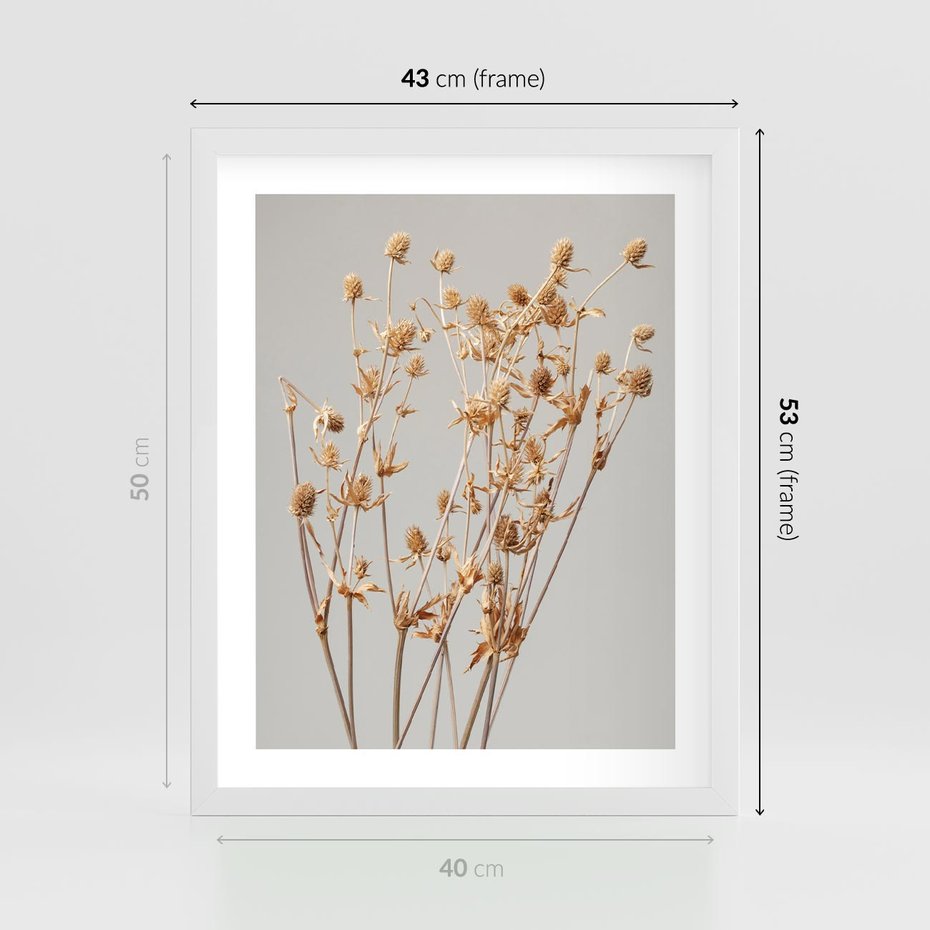 Plakat w ramie 40x50 - Delikatne gipsówki - gipsówka, suche - rama biała