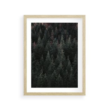 Plakat w ramie 40x50 - Wysoko nad Iglastym Lasem - las, perspektywa - rama drewno