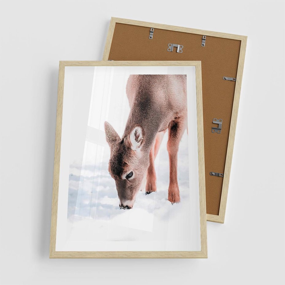 Plakat w ramie 50x70 - Sarna w Zimowym Raju - sarna, na śniegu - rama drewno