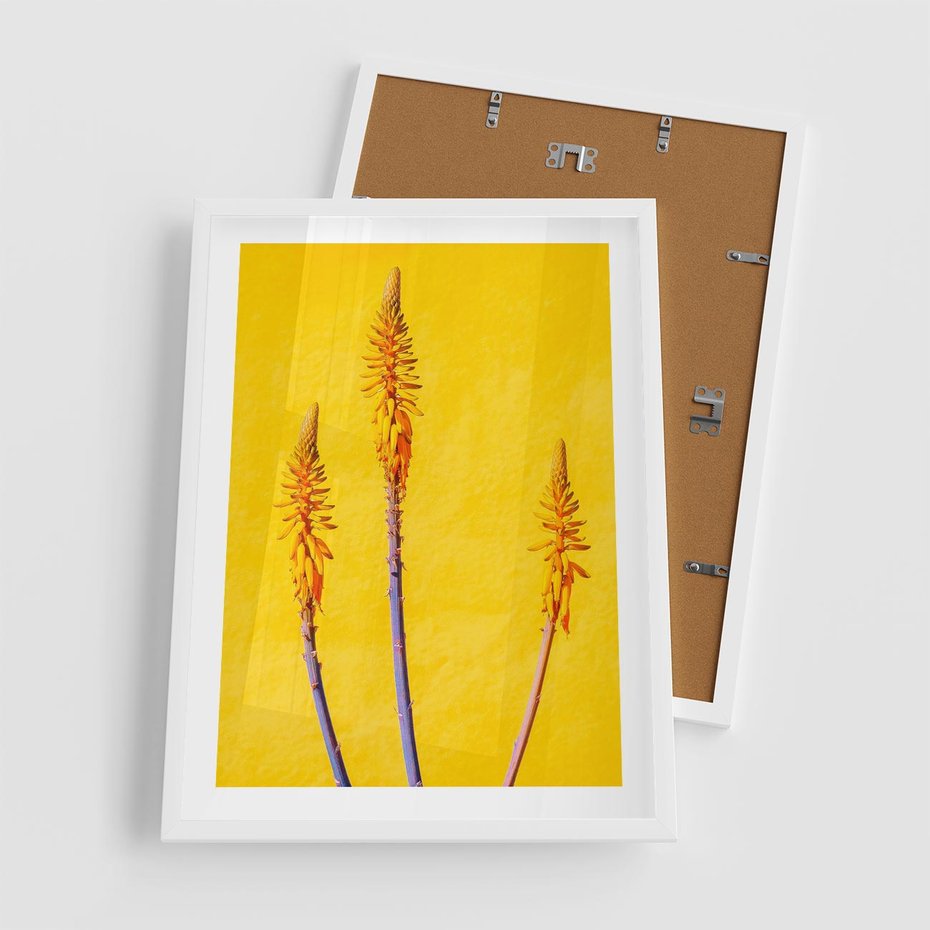 Plakat w ramie 50x70 - Radość Natury - kolor, kwiaty - rama biała