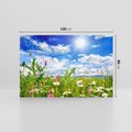 Obraz na płótnie 120x80 - Niebiańska łąka pełna kwiatów - łąka, niebo