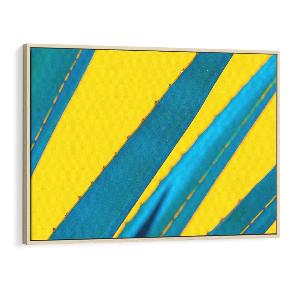 Obraz w ramie 70x50 - Świeżość Natury - aloes, liście - rama drewno