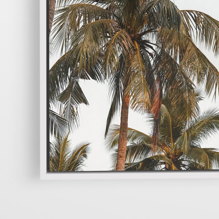 Obraz w ramie 80x80 - Palmy - tęsknota za Hawajami - palmy, Hawaje - rama biała