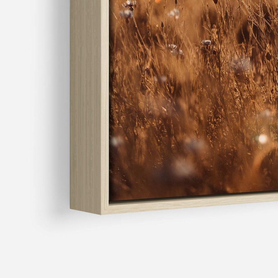 Obraz w ramie 80x80 - Zachwyt zachodem słońca na łące - zachód, słońca - rama drewno