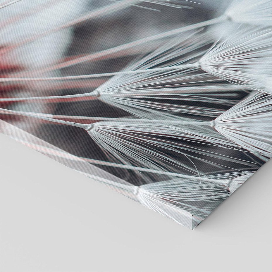 Obraz na płótnie 80x120 - Makro świat dmuchawca - dmuchawiec, makro