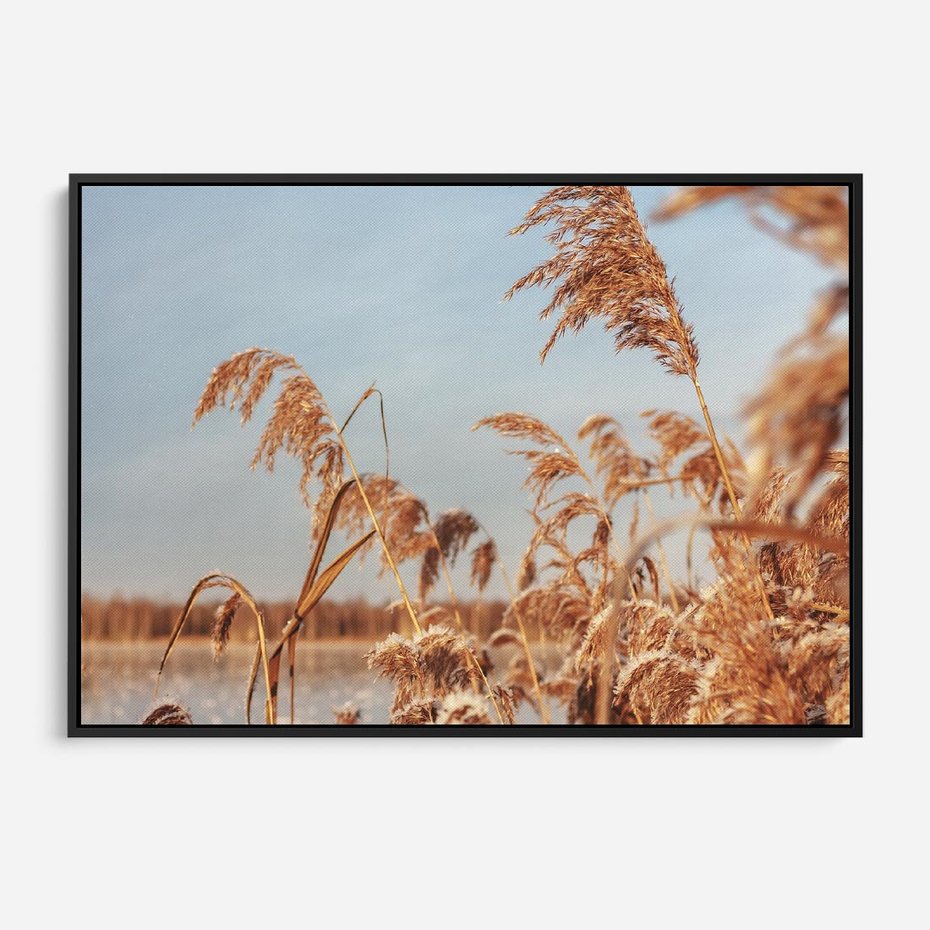 Obraz w ramie 70x50 - Wyraz Stylu - trawy, boho - rama czarna