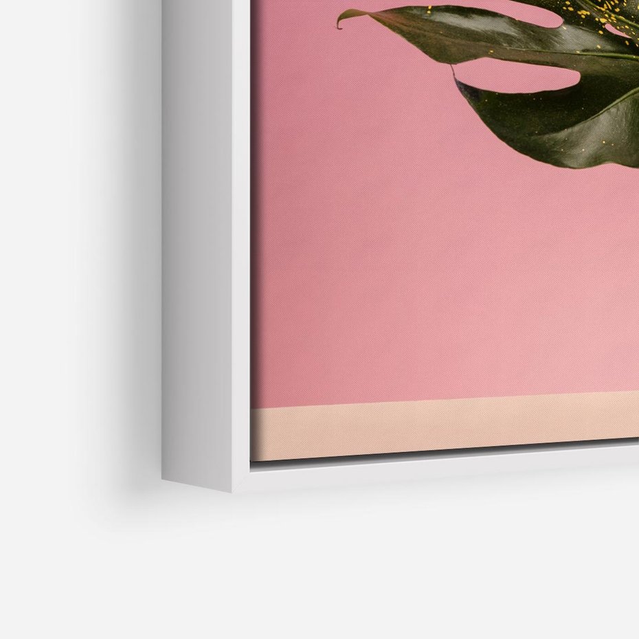 Obraz w ramie 80x80 - Majestatyczna monstera - monstera, liść - rama biała