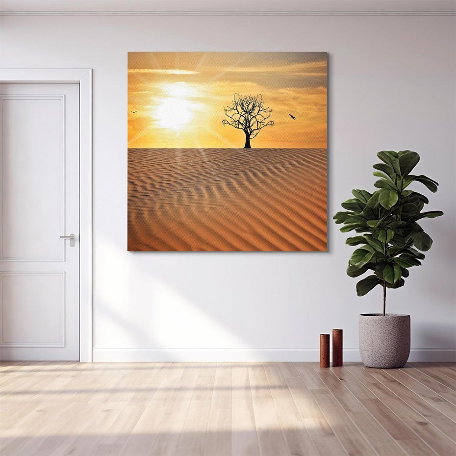Obraz na płótnie 40x40 - Pustynia - Drzewo i słońce - pustynia, drzewo