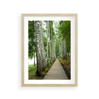 Plakat w ramie 30x40 - Spacer ścieżką przez brzozowy las - las, ścieżka - rama drewno
