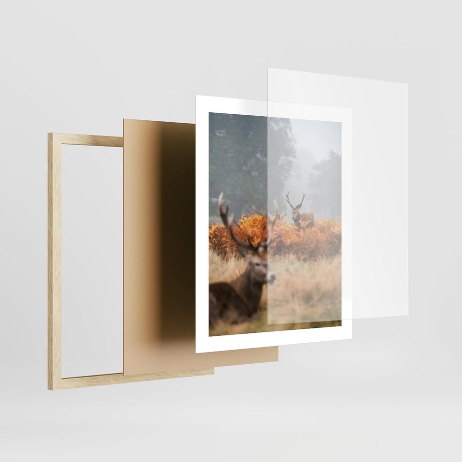 Plakat w ramie 40x50 - Malownicza Harmonia - jelenie, jesień - rama drewno