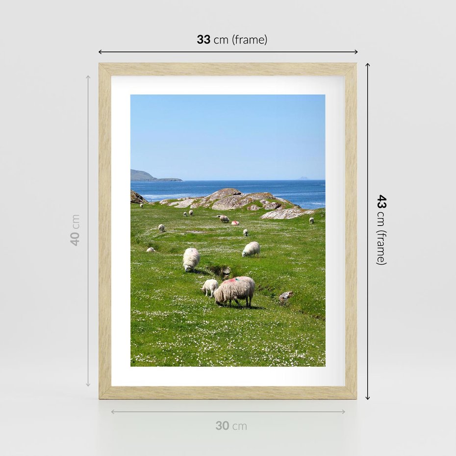 Plakat w ramie 30x40 - Górskie Owce - góry, owce - rama drewno