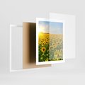 Plakat w ramie 40x50 - Idylla na łące słoneczników - łąka, słoneczniki - rama biała