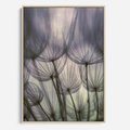 Obraz w ramie 50x70 - Makro dmuchawiec - piękno drobnych detali - dmuchawce, makro - rama drewno