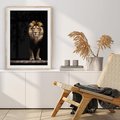 Plakat w ramie 30x40 - Lew: dzikie piękno natury - lew, dzikie - rama drewno