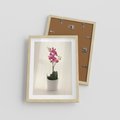 Plakat w ramie 30x40 - Delikatność storczyka orchidei - storczyk, orchidea - rama drewno