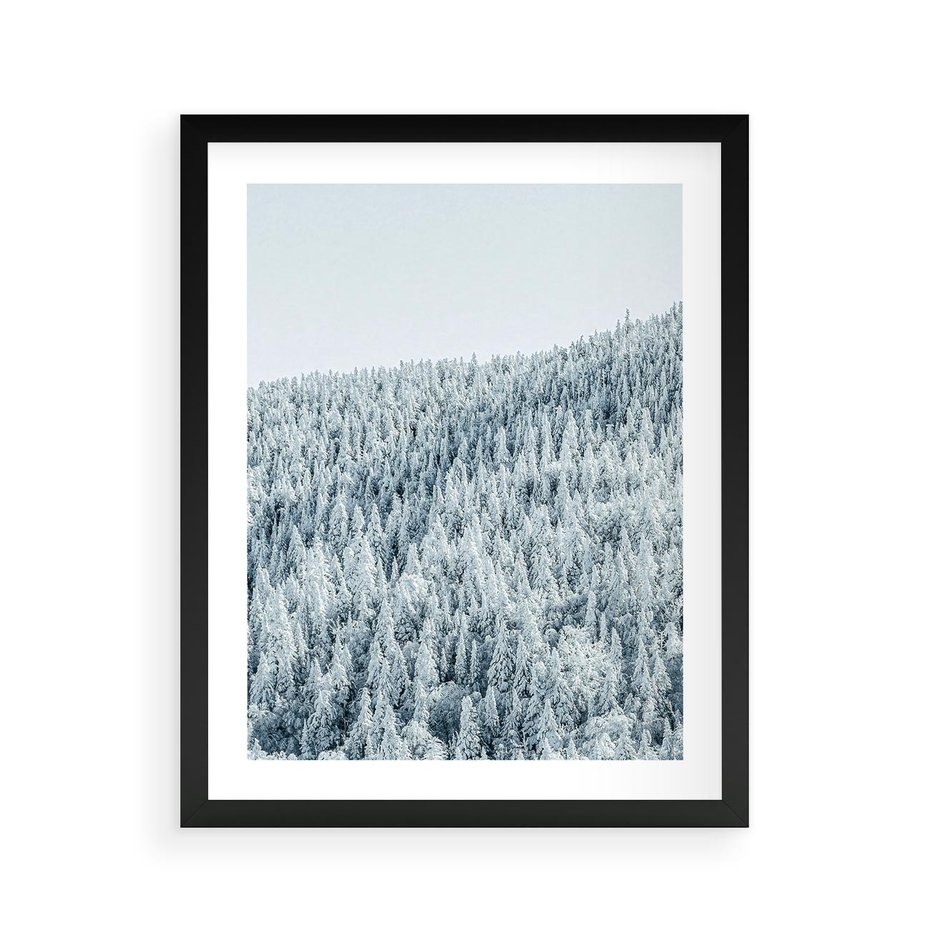Plakat w ramie 40x50 - Cicha Zima - las, zima - rama czarna