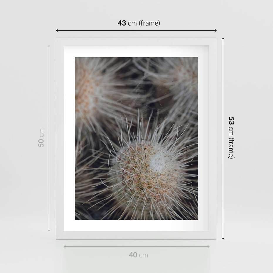 Plakat w ramie 40x50 - Ulotna Piękność Natury - makro, dmuchawce - rama biała