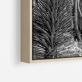 Obraz w ramie 50x50 - Pustynny Klimat - czarno białe zdjecie, pustynia - rama drewno