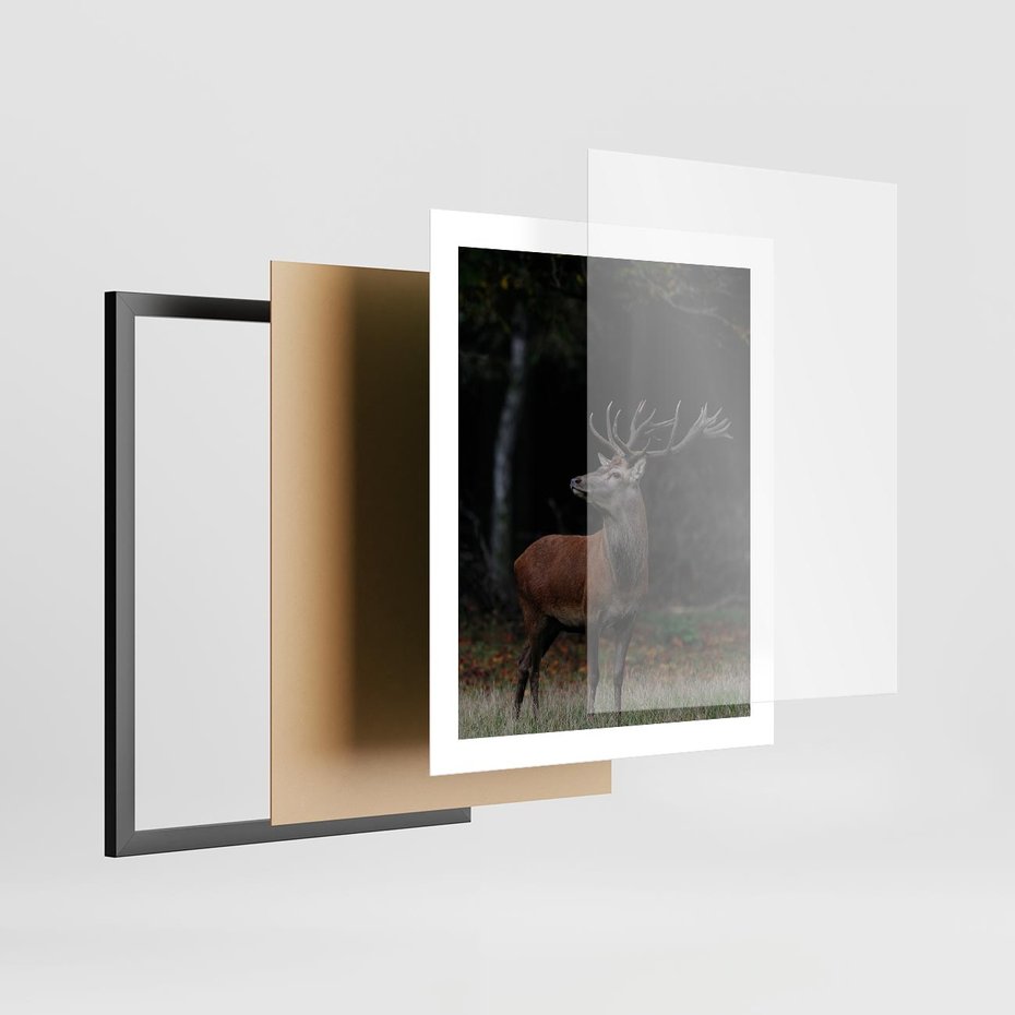 Plakat w ramie 40x50 - Spotkanie z naturą - jeleń, las - rama czarna