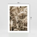 Plakat bez ramy 30x40 - Zbliżenie na Kłosy Zboża - zboża, kłosy zboża